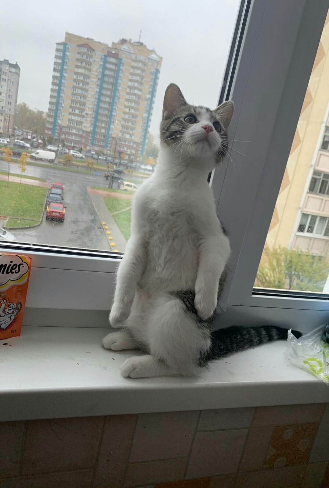 В такую погоду, на улице делать нечего