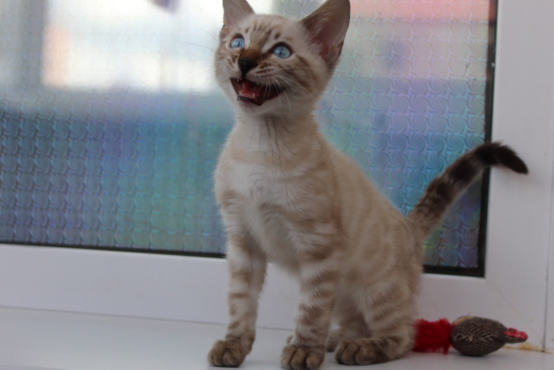 На улице солнце светит, хочу гулять