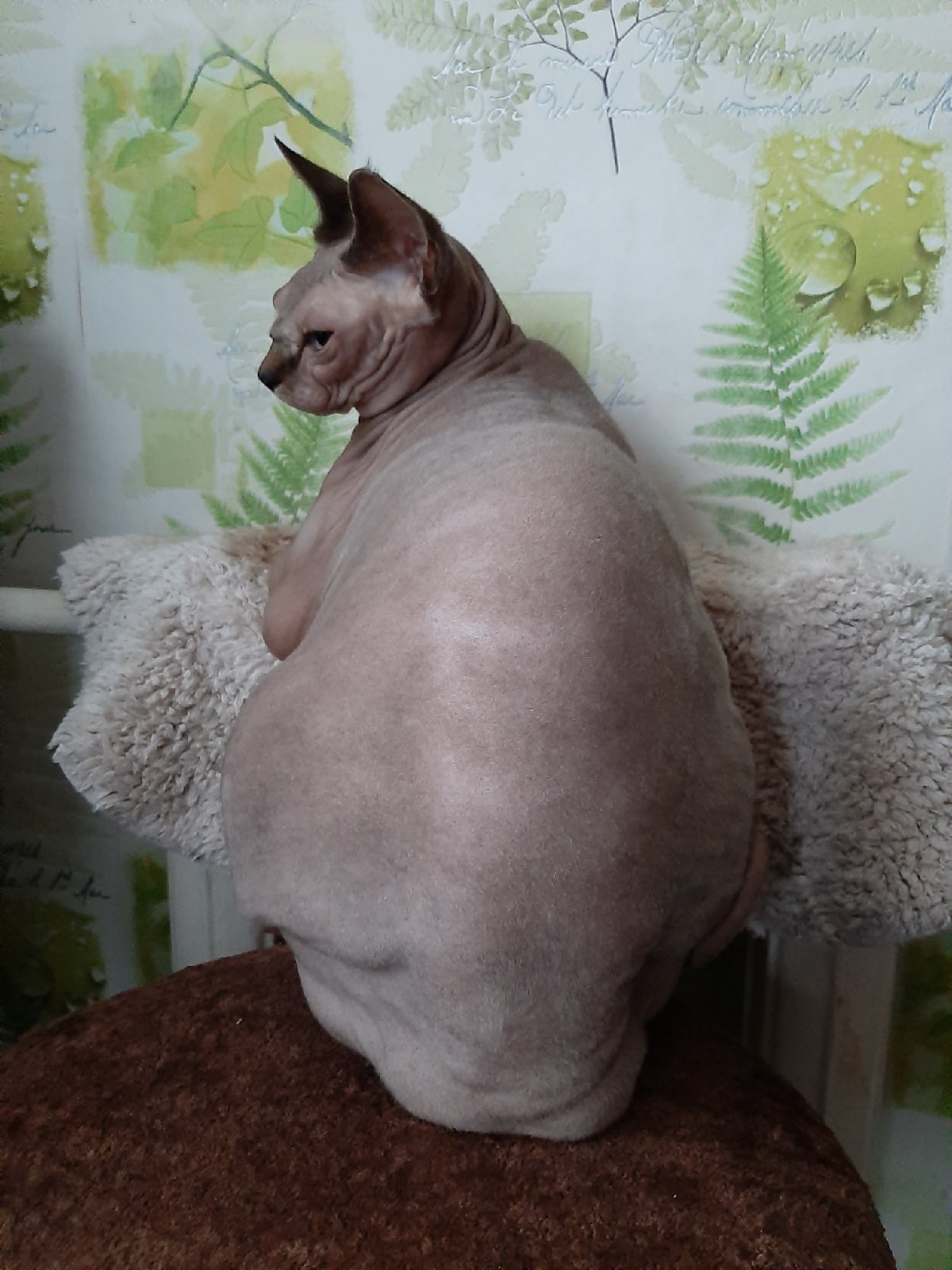 Батареи слабовато топят, надо бы парку поддать