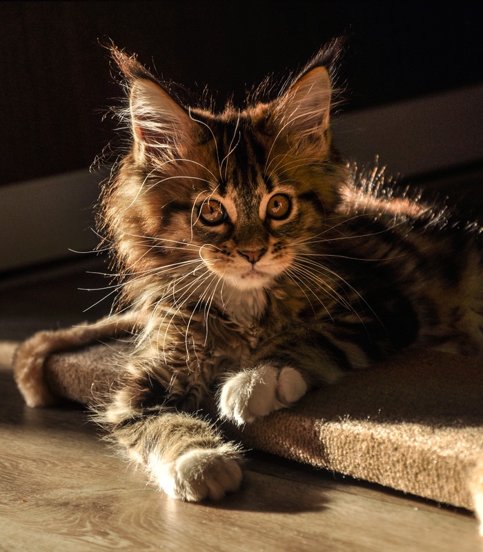 Как же, скучно одному