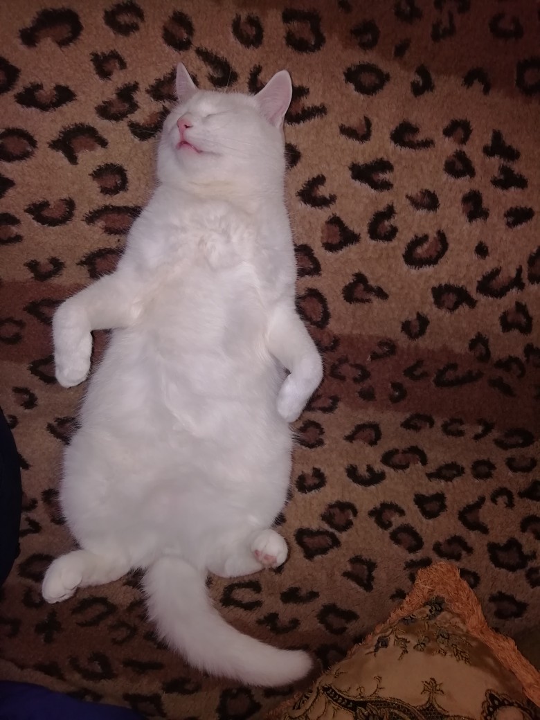 Ой, не трогайте меня, дайте сон досмотреть