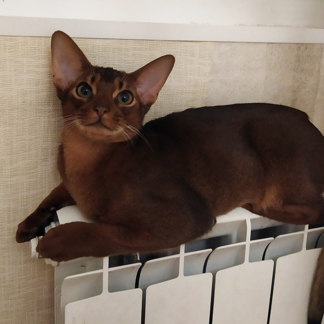 Ищите себе другую батарею, а эта моя