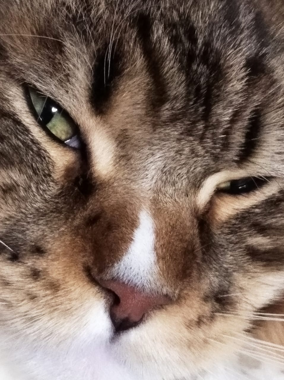 Вредно работать в праздники, надо отдыхать