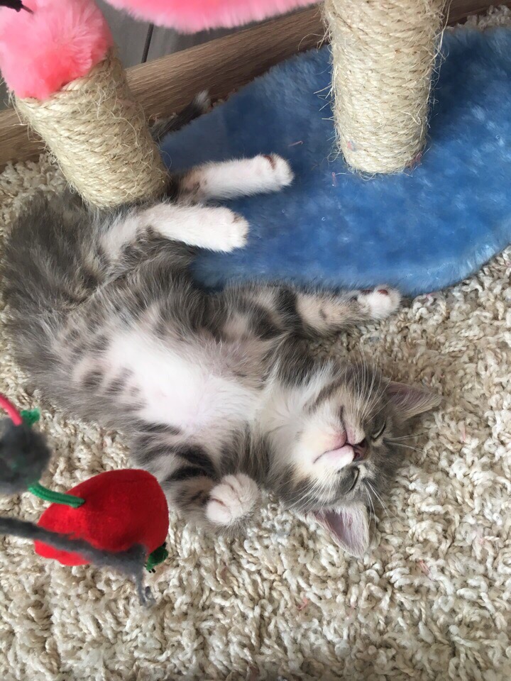 Сон настиг, когда не ждали