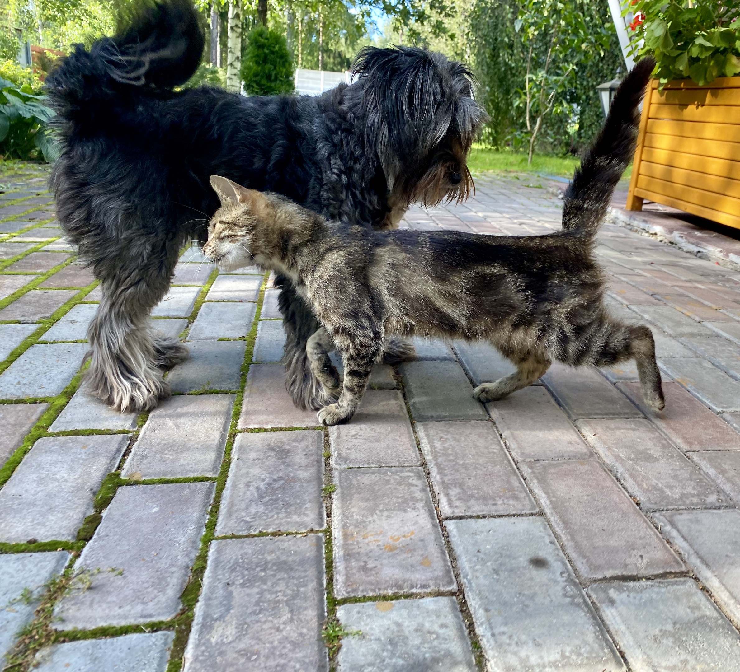 Давай дружить, вместе жить