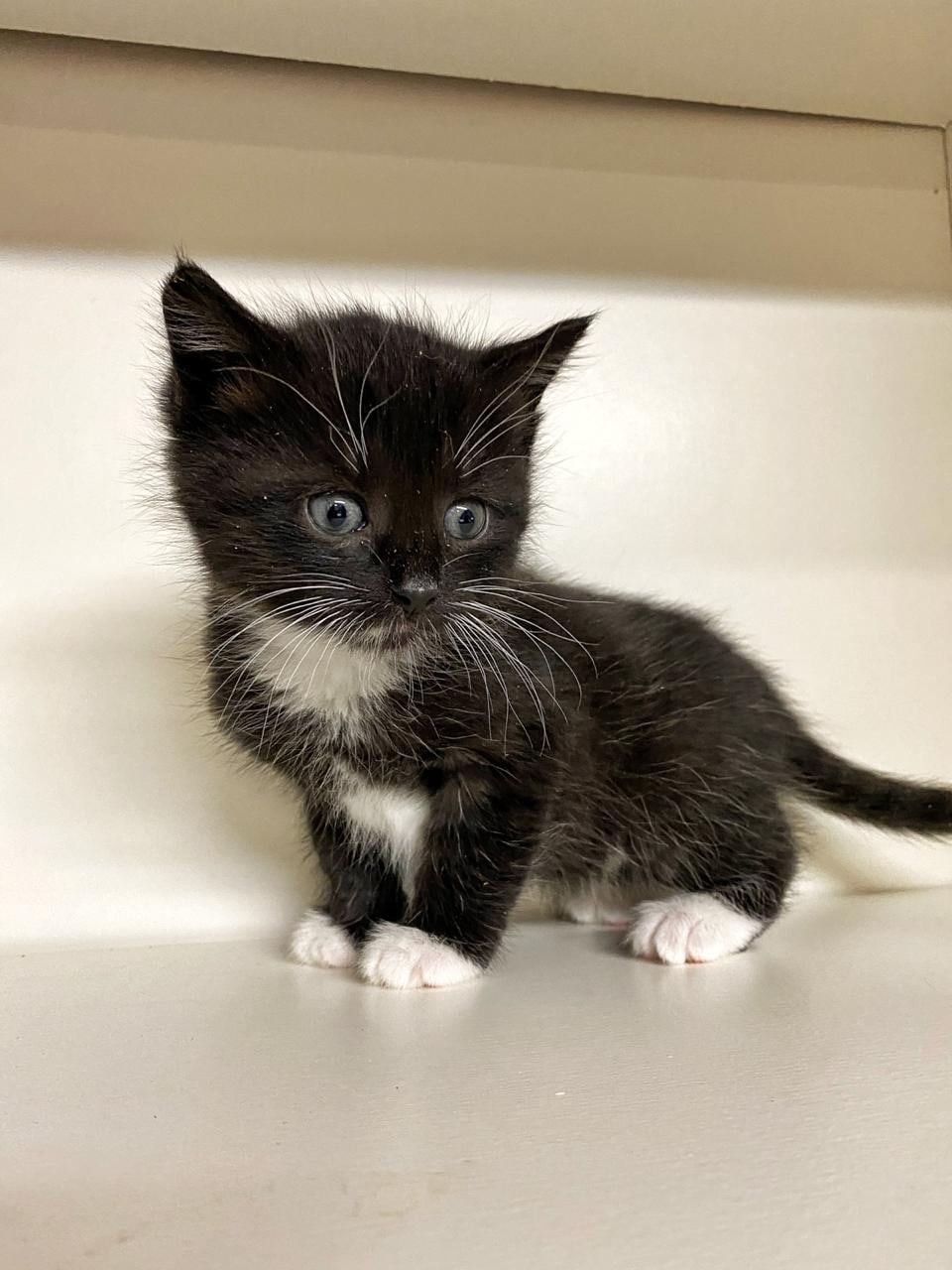 Не надо меня нянчить, я хочу побегать