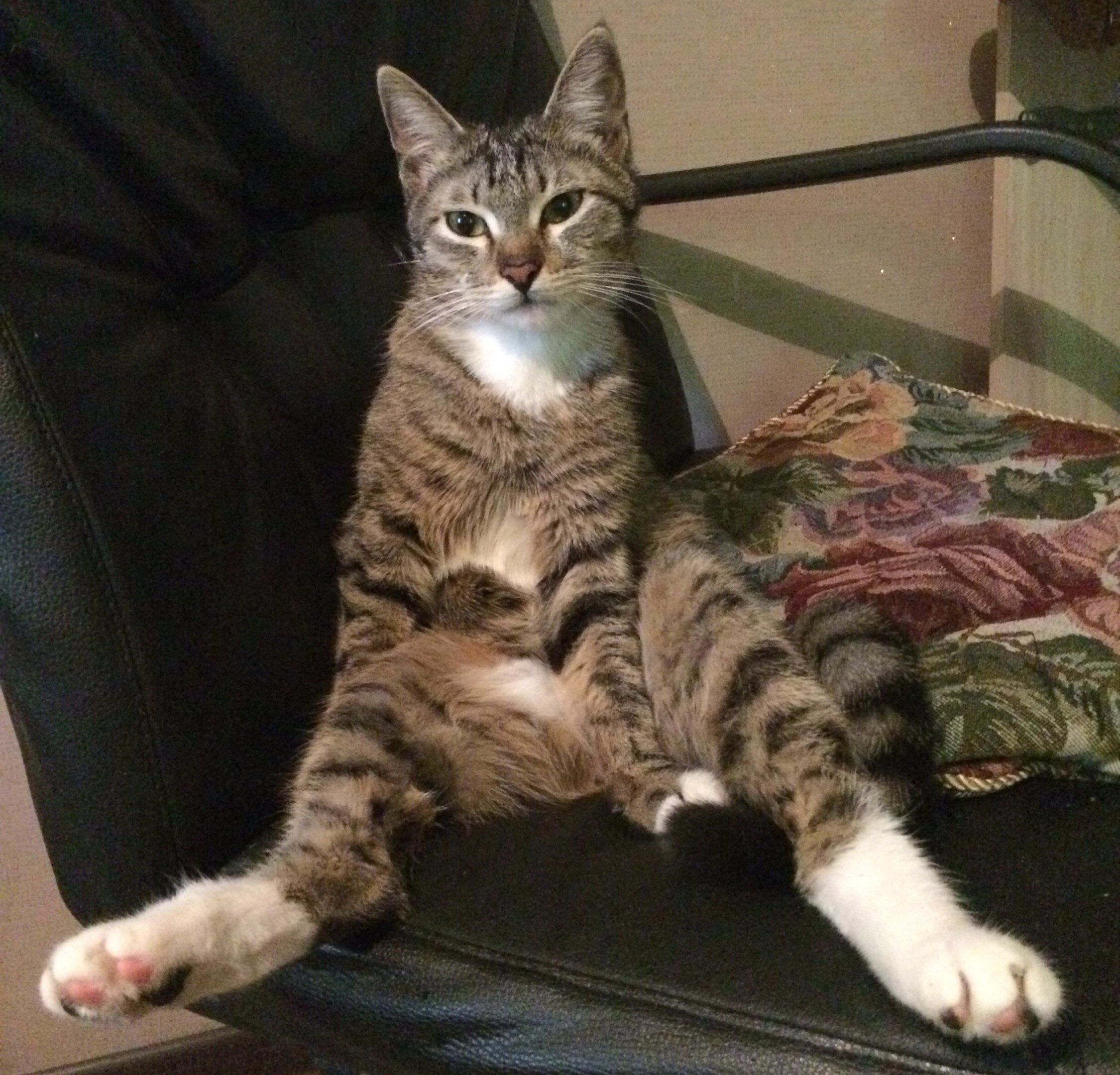 Место не уступлю, даже не уговаривайте