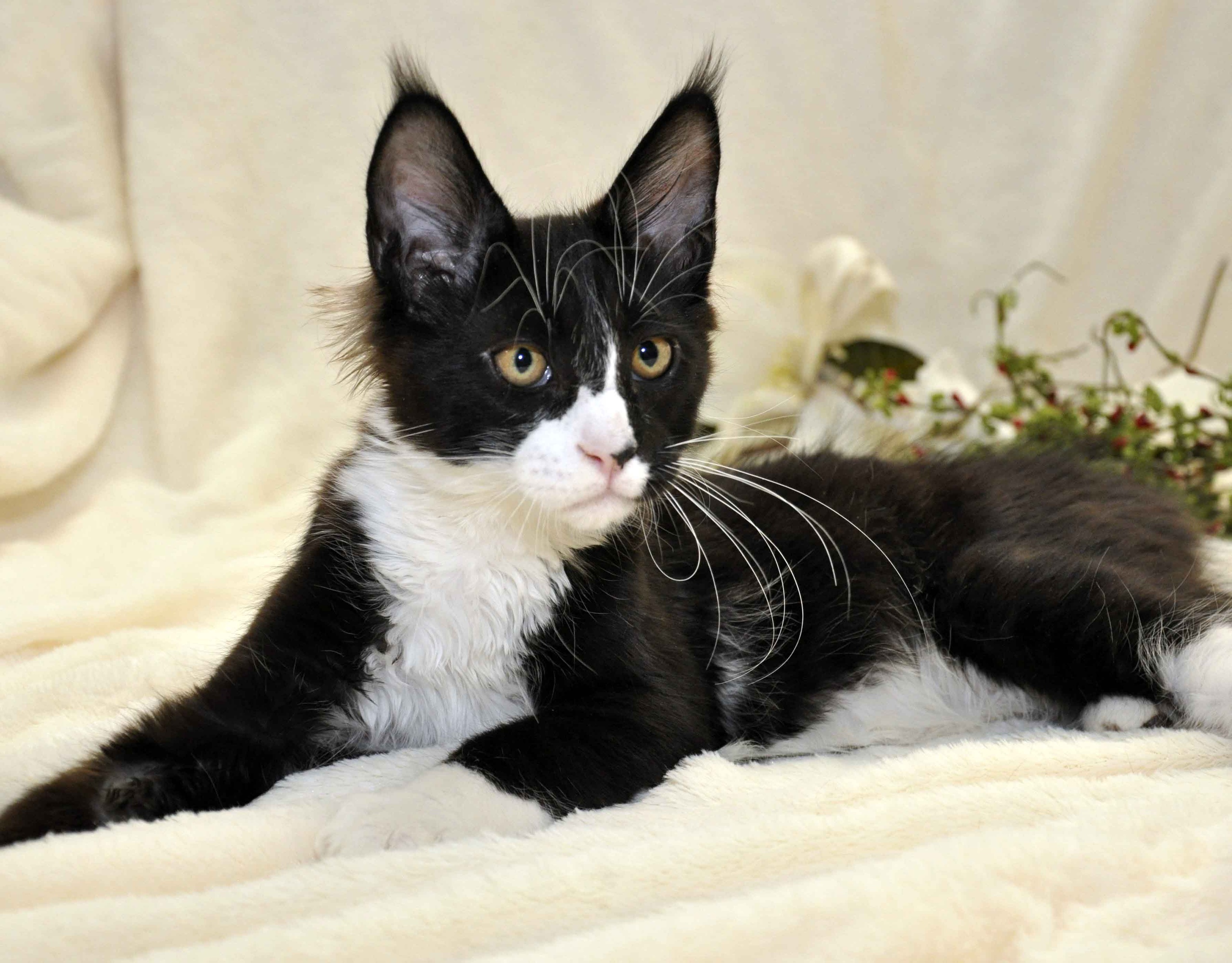 Идите на работу, дома будет всё в порядке