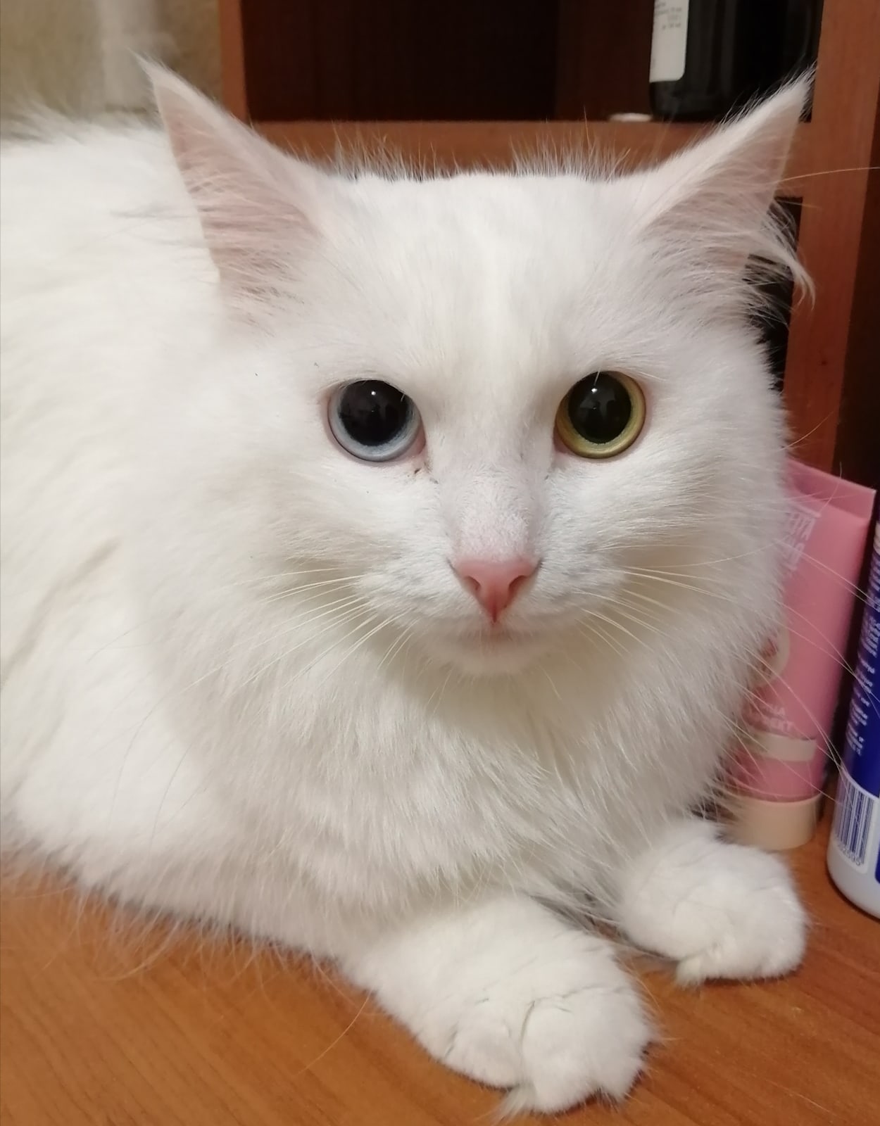 Сама накрасилась, а меня хоть бы причесала