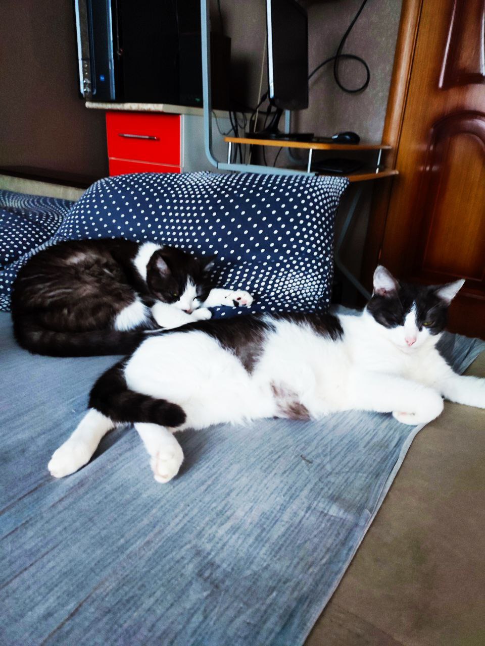 Воскресенье подождёт, дайте сны досмотреть