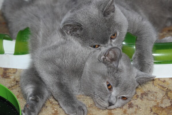 Мы с тобой, одно целое