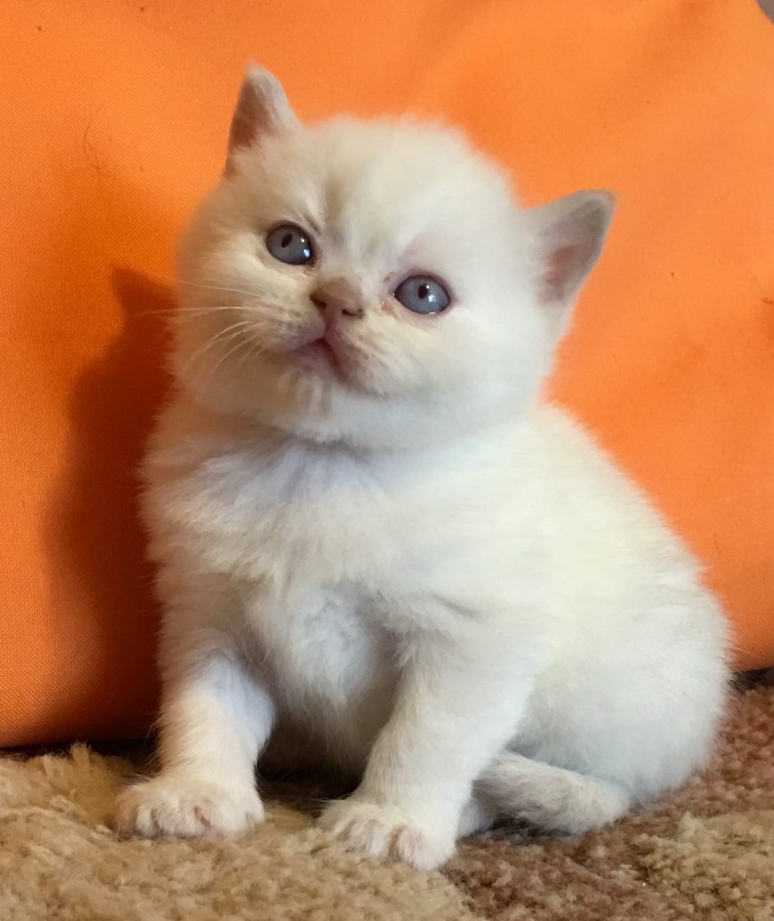 Мне сказали, что я симпатичный - это хорошо или плохо