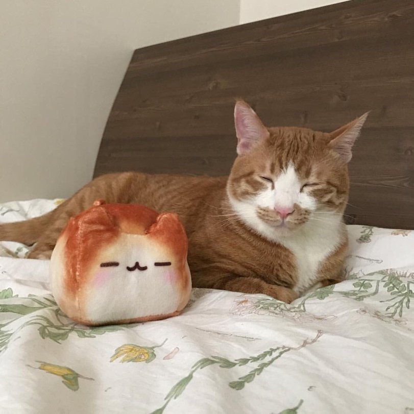 Пока завтрак готовится, я полежу