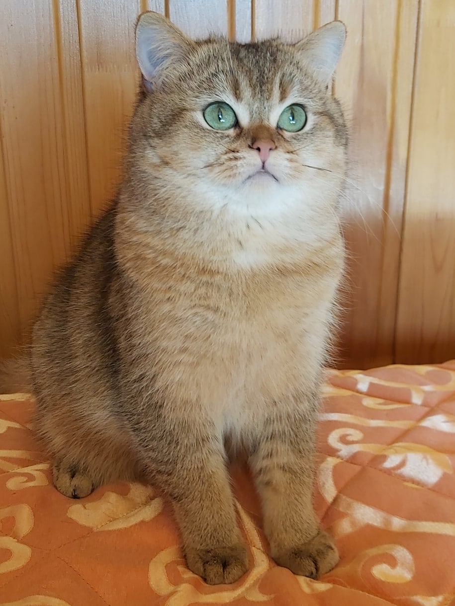 Что - то, я рано проснулся