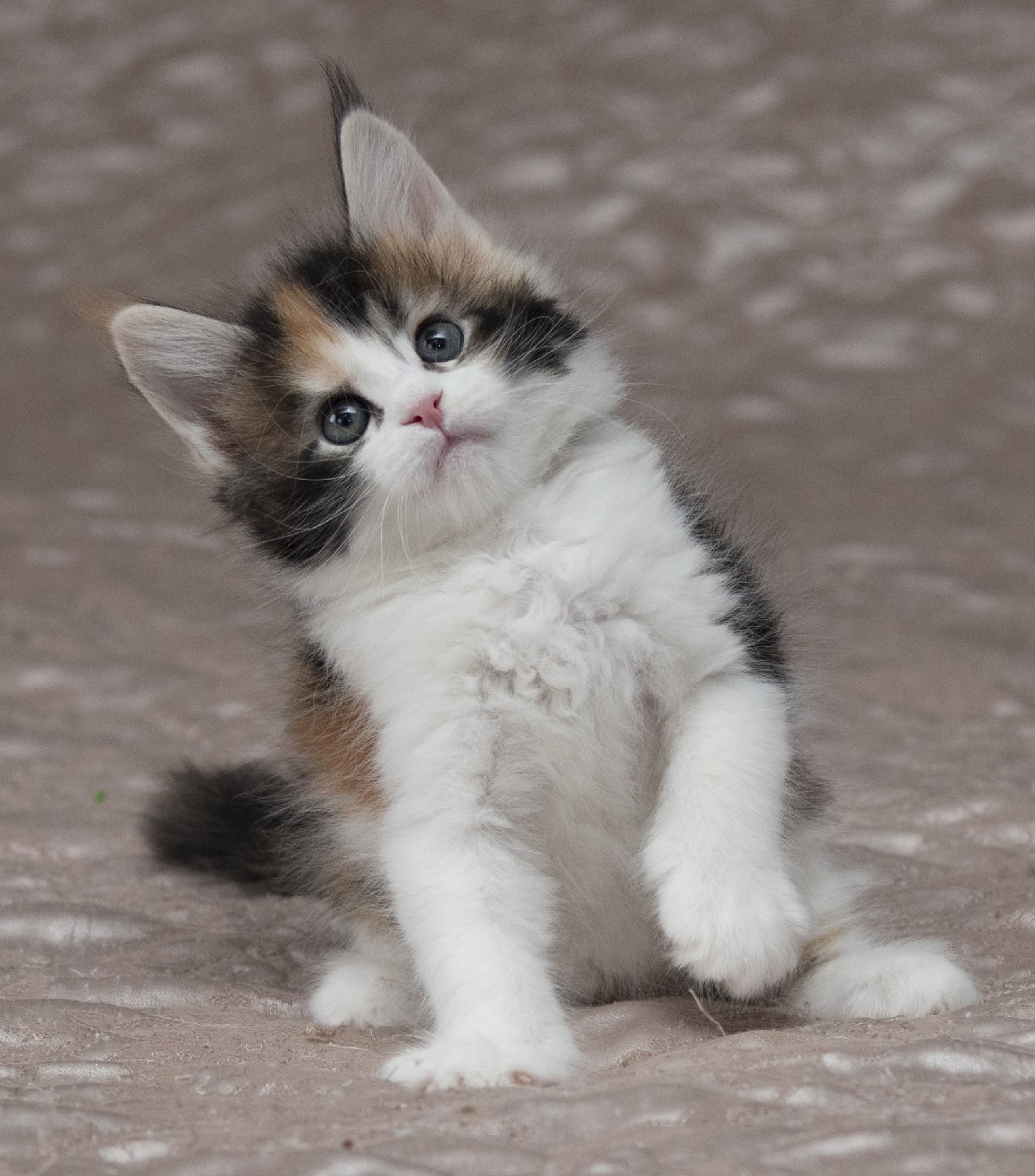 А какие, у вас планы на сегодня