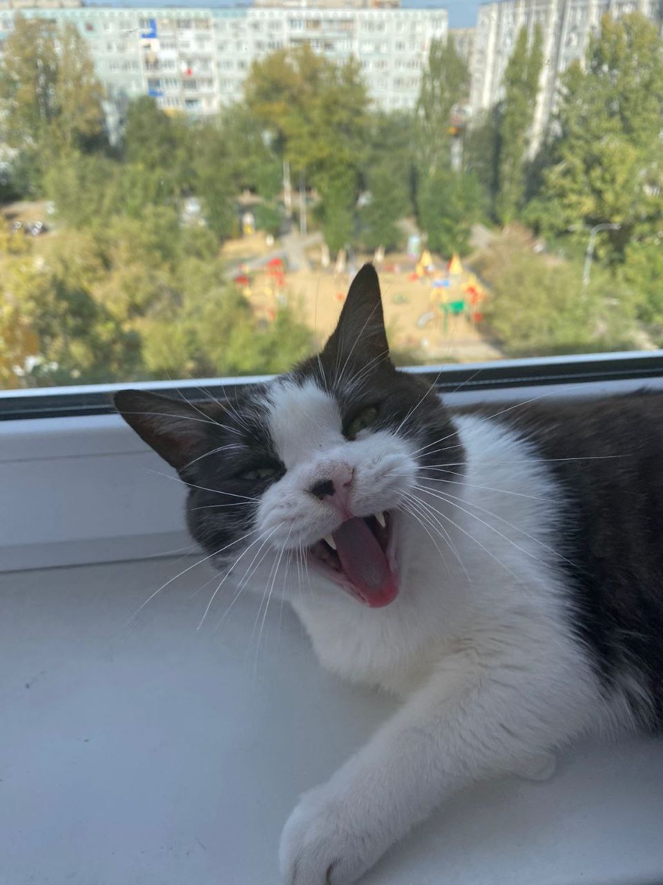 У всех тихий час и у меня тоже