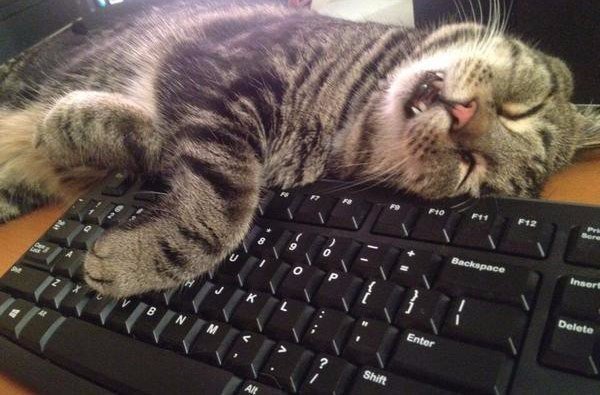 Василий уснул на посту