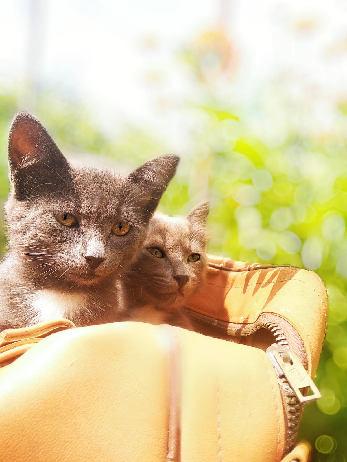 Осень - осенью, а прогулку никто не отменял
