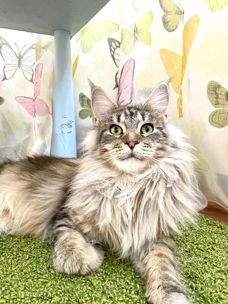 Самое лучшее место в доме - под детским столиком