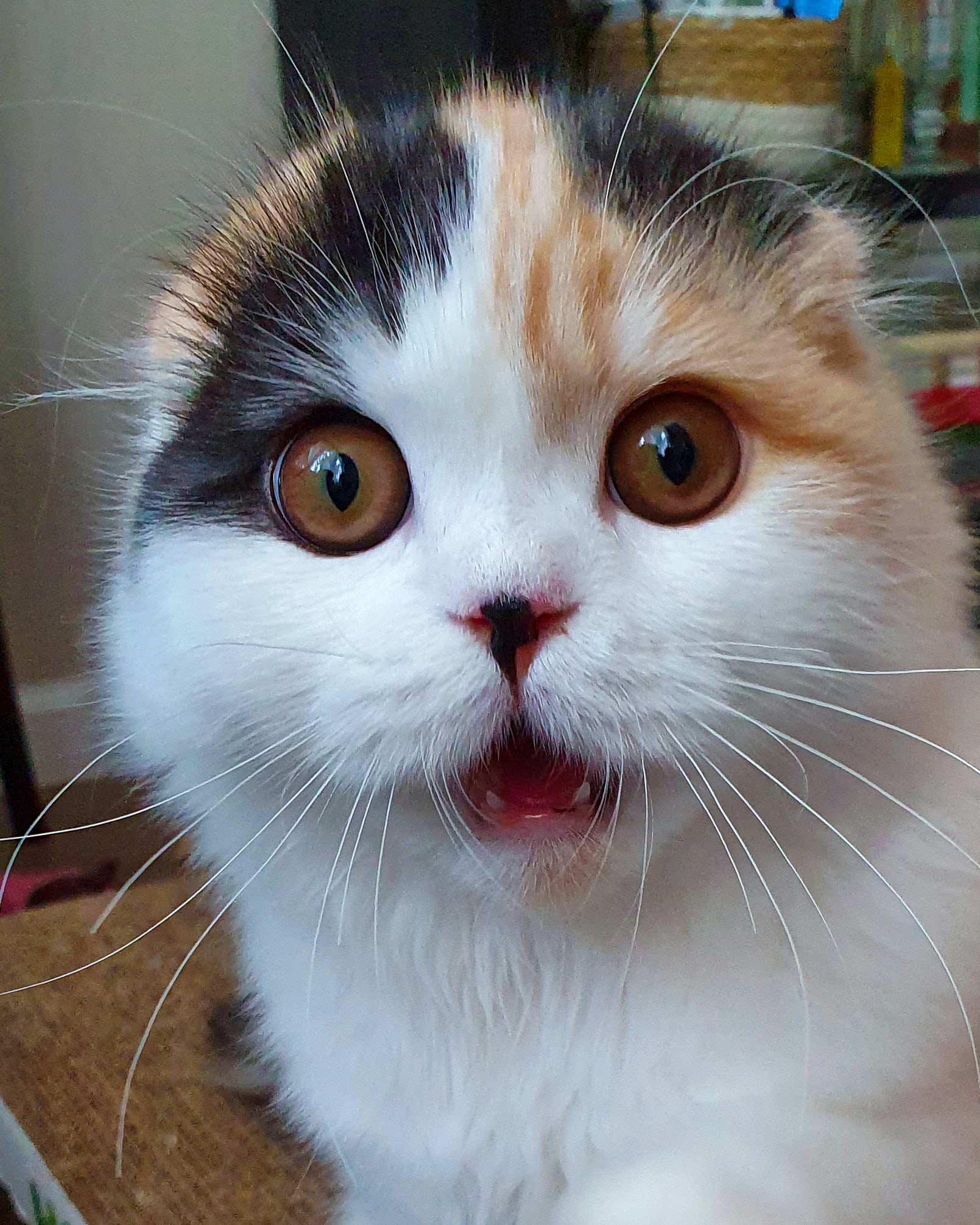 Кажется, что - то разбилось, пойду посмотрю