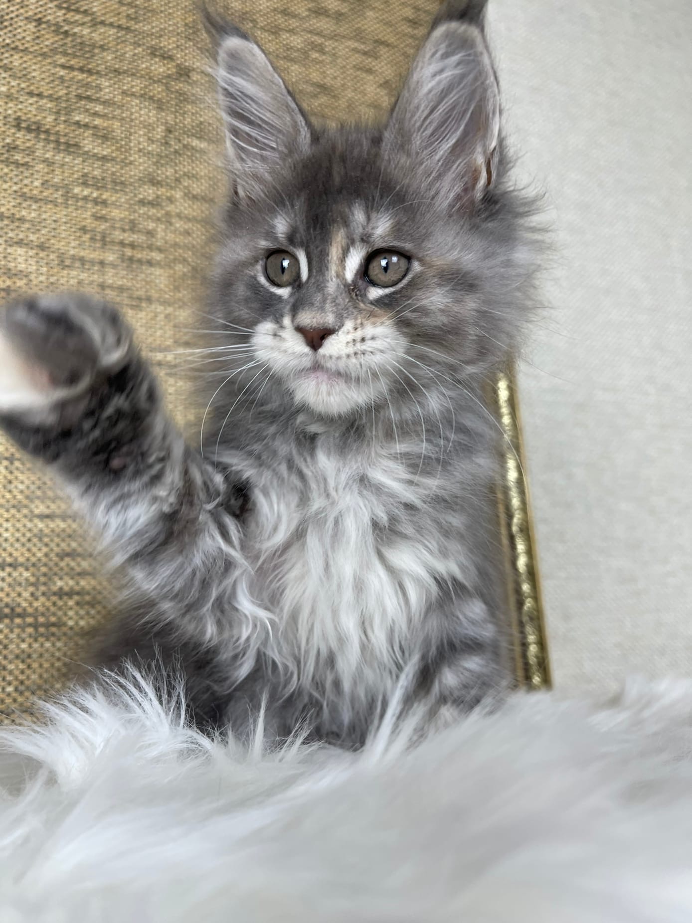 Всем привет и отличного настроения