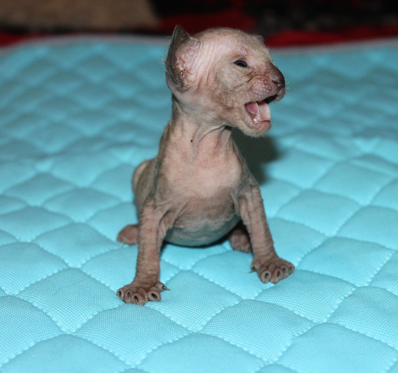 Где кто, мне страшно одному