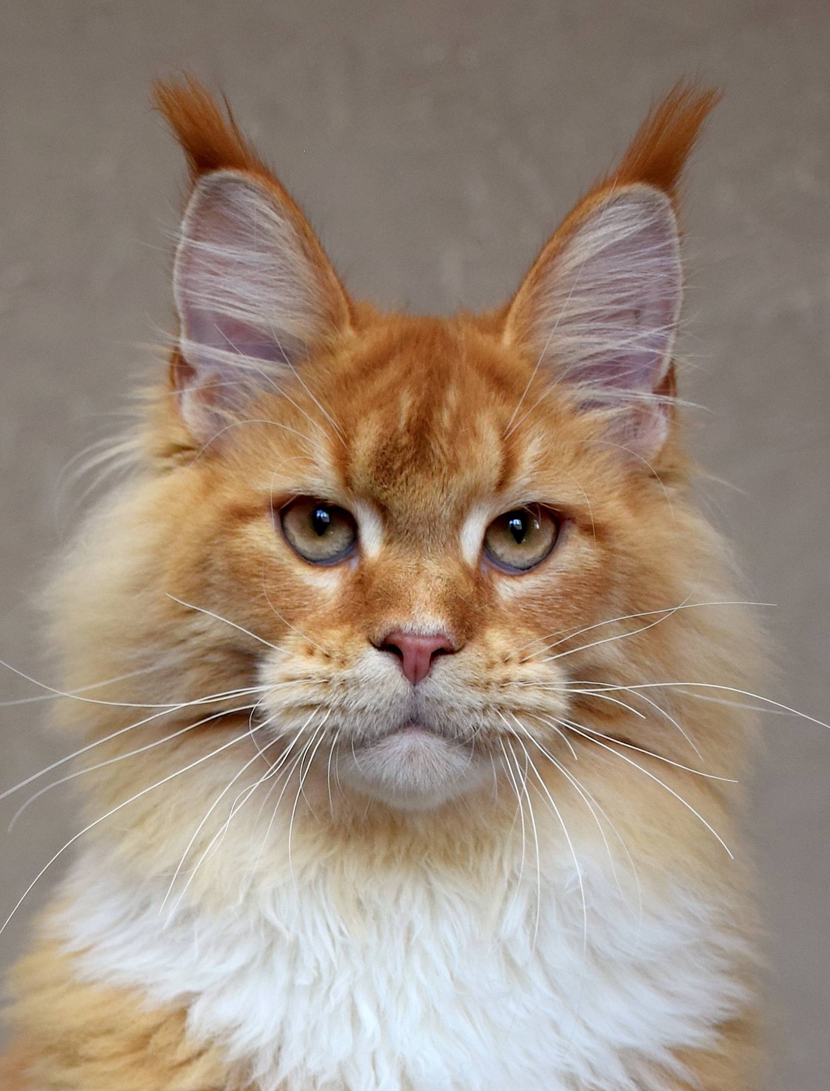 Серьёзность - это мой стиль жизни