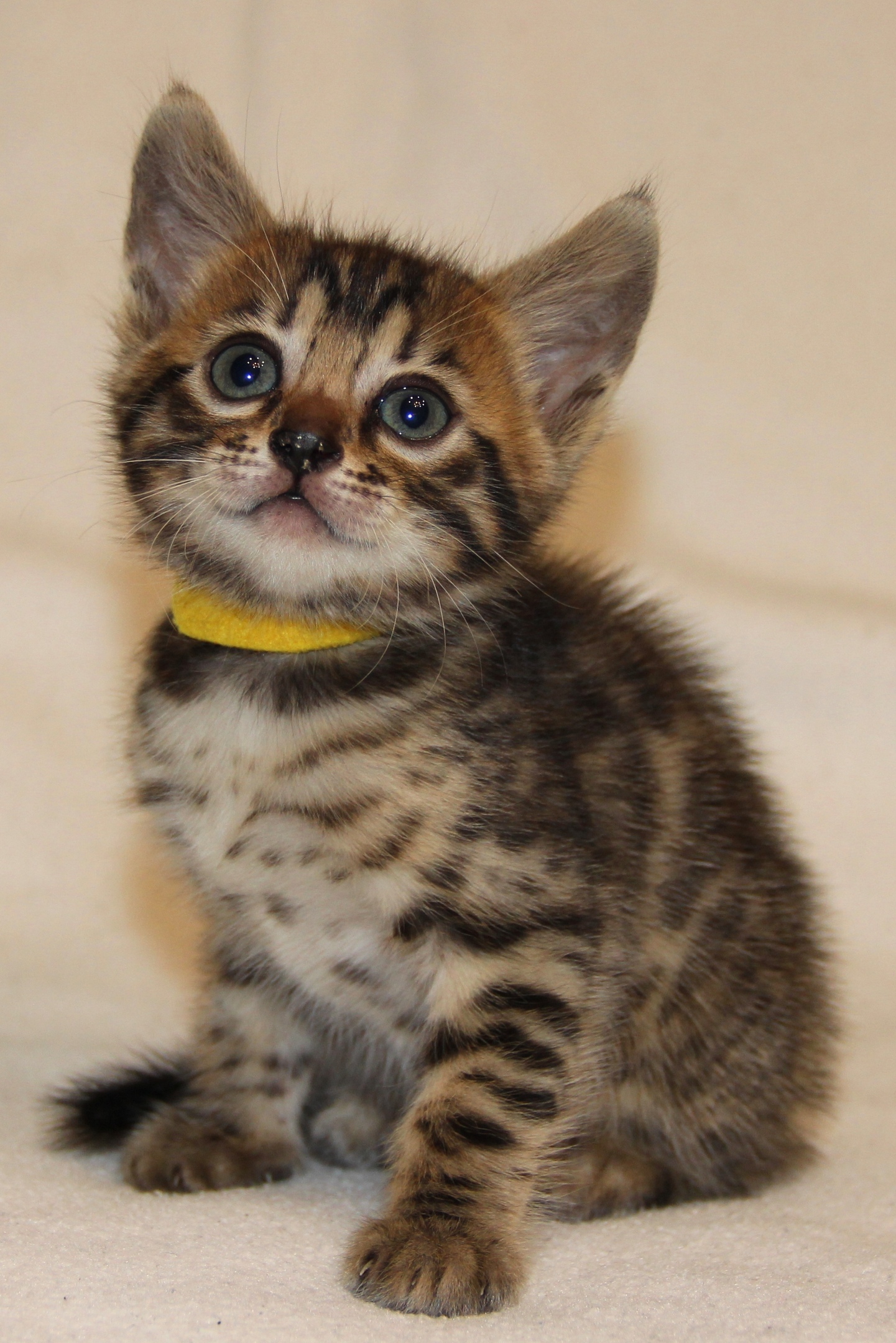 Милый мальчуган