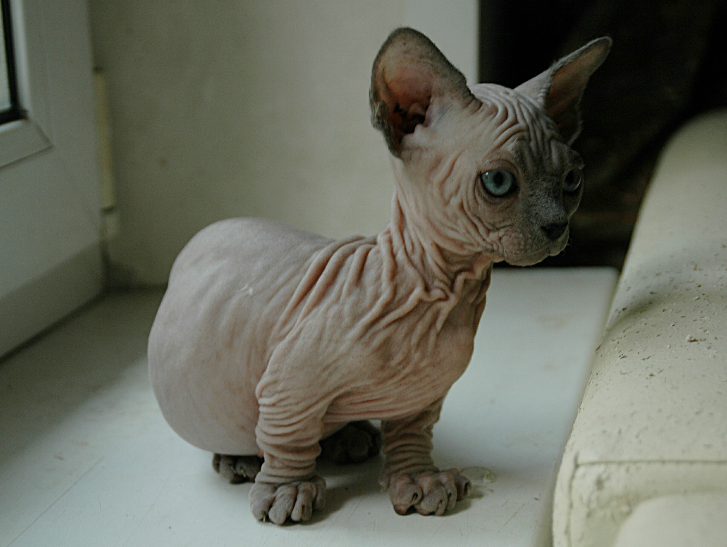 Снимите меня с окошка, тут скучно