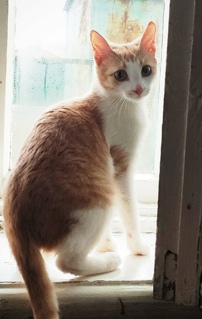 Я опять гулять не пойду