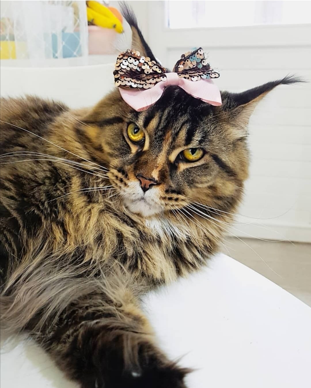 Уберите бантик, я не девочка, а мальчик