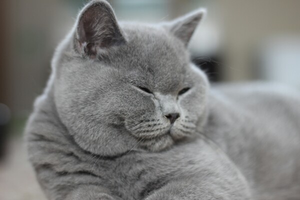 Мне живётся хорошо, разве не заметно