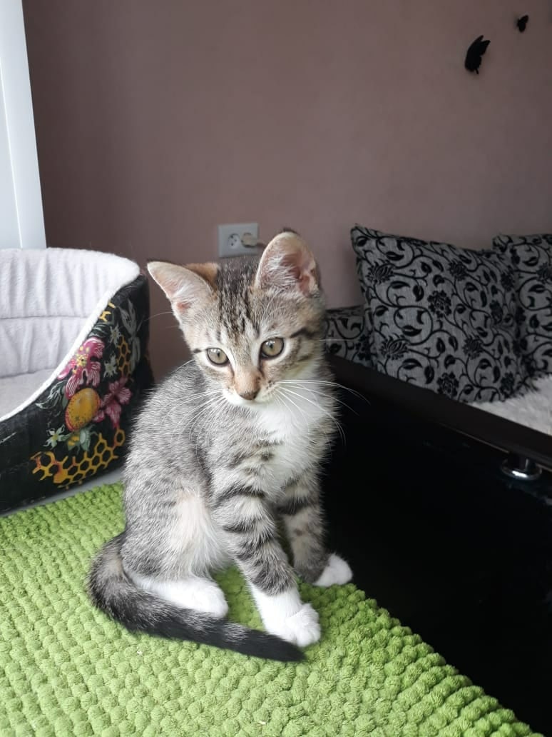 За окном, столько всего интересного