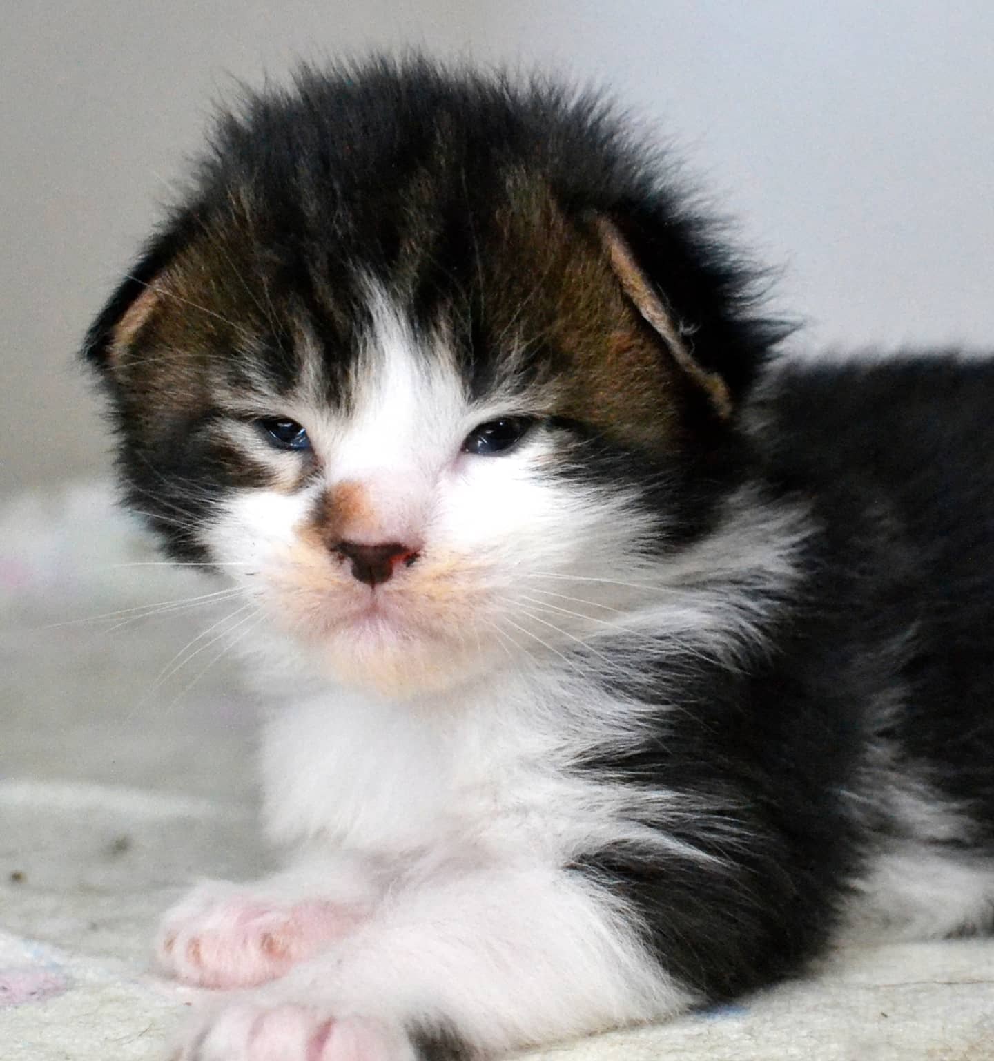 Я проснулся, хочу кушать