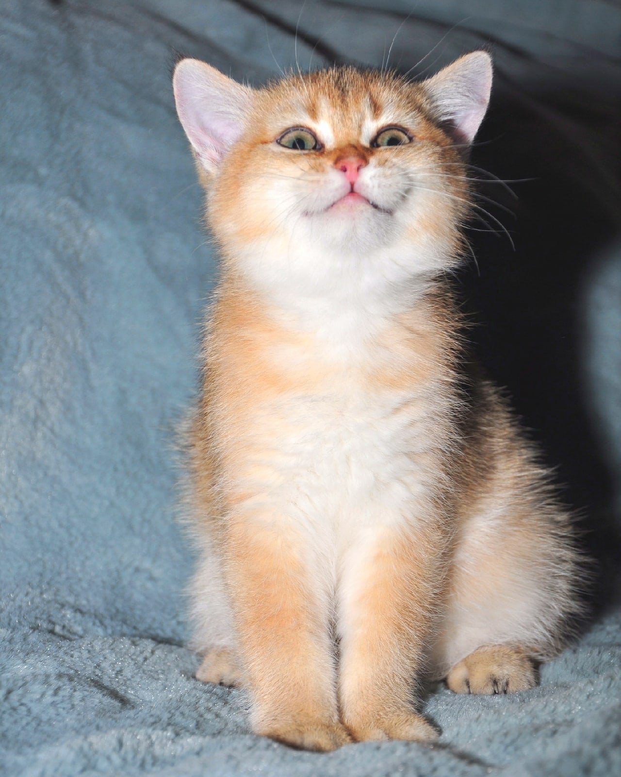 Утро начинается с улыбки