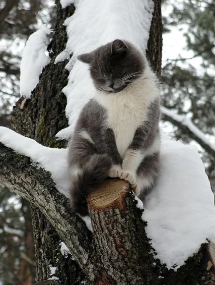 Как же хорошо, спится на природе