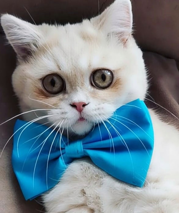 Кажись сегодня праздник у меня, только какой незнаю