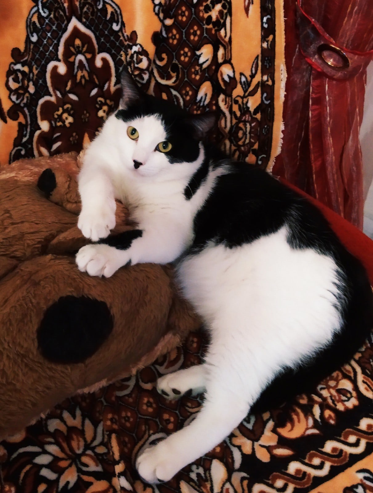 А я, хочу - на диване сплю, хочу - в домике