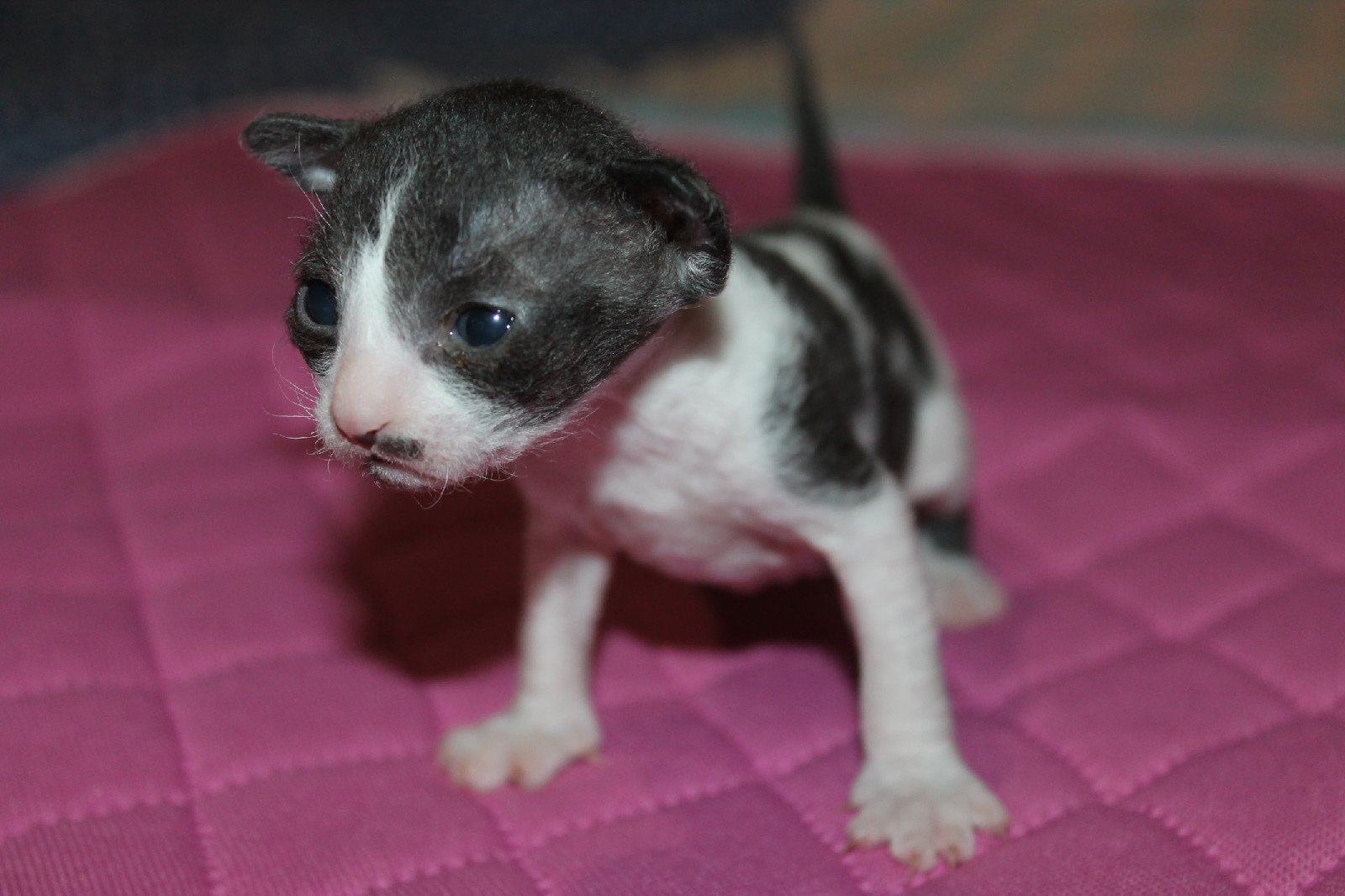 Так, где тут у вас завтраком кормят