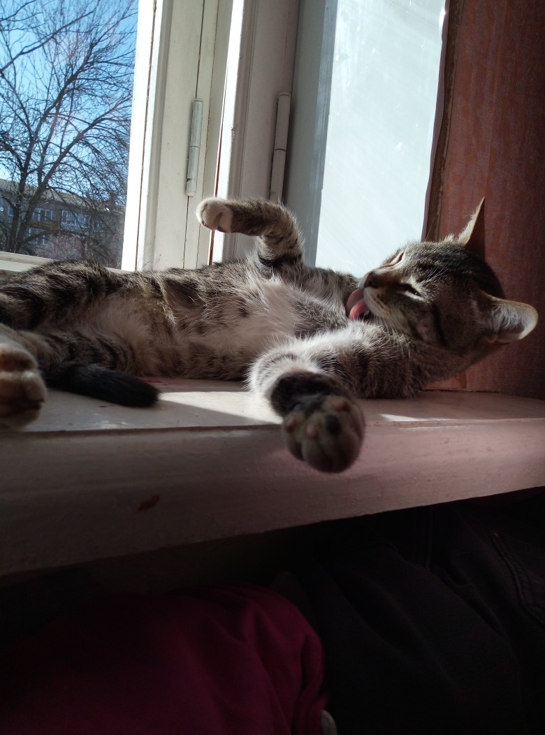 Чистота - залог здоровья