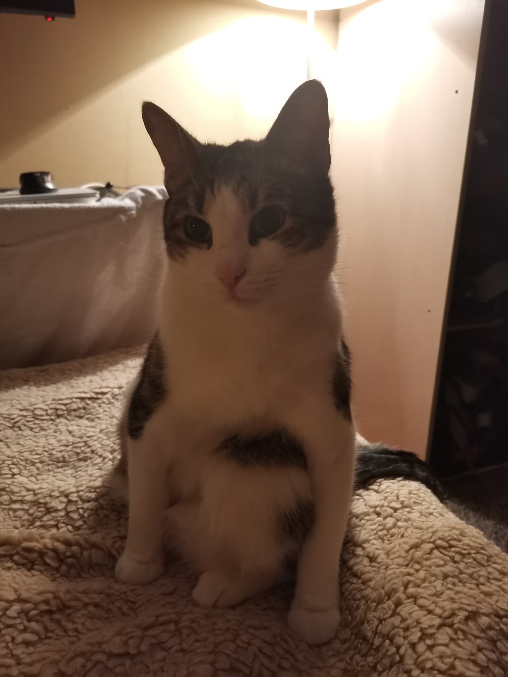 Кто куда, а я спать