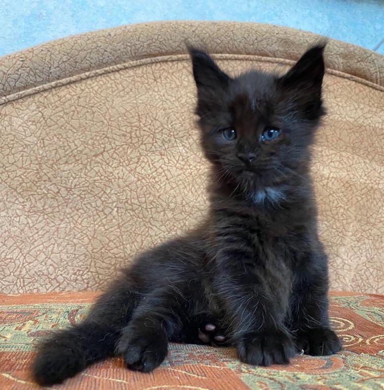 Идите на работу, всё будет хорошо