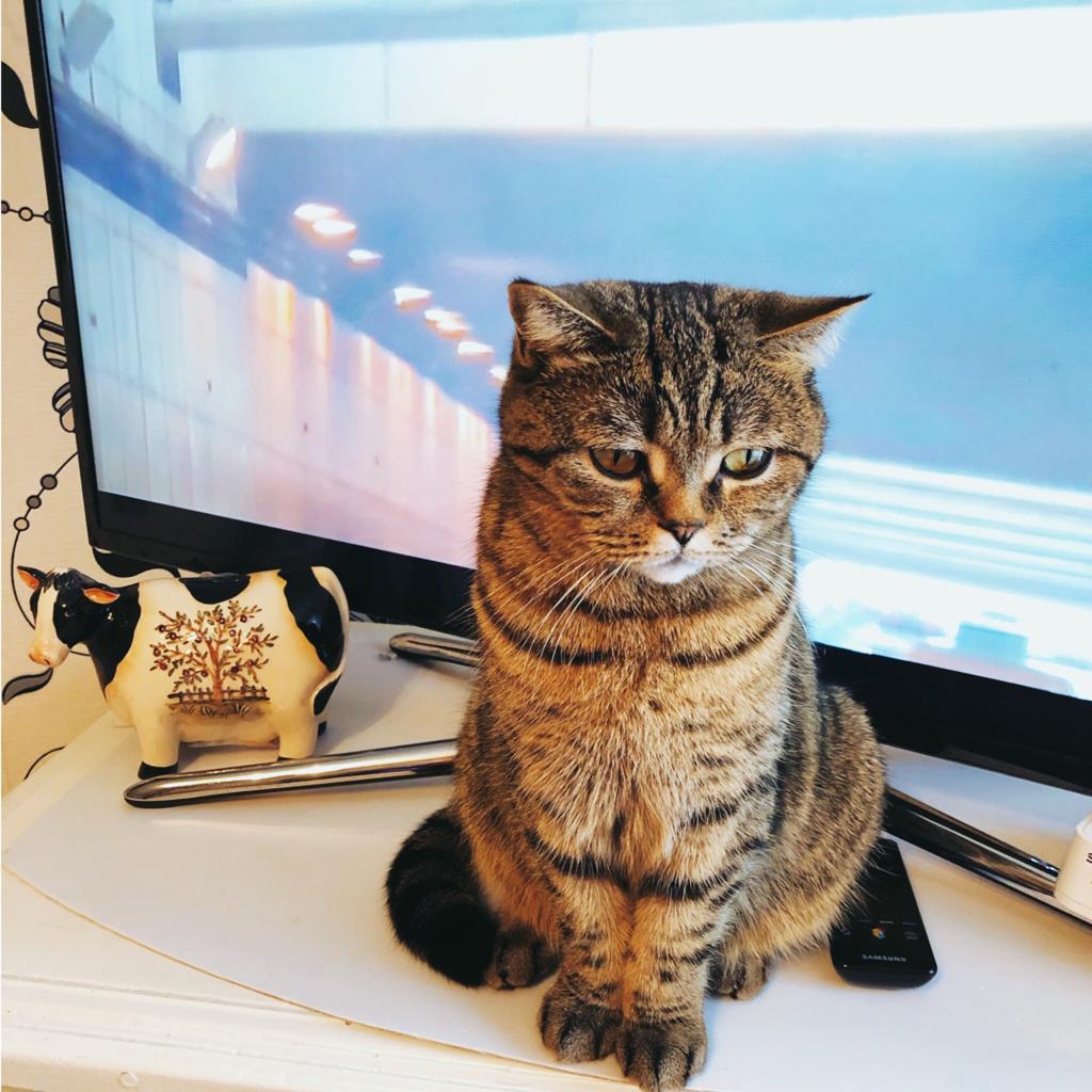 Включительно мне мультики, пожалуйста