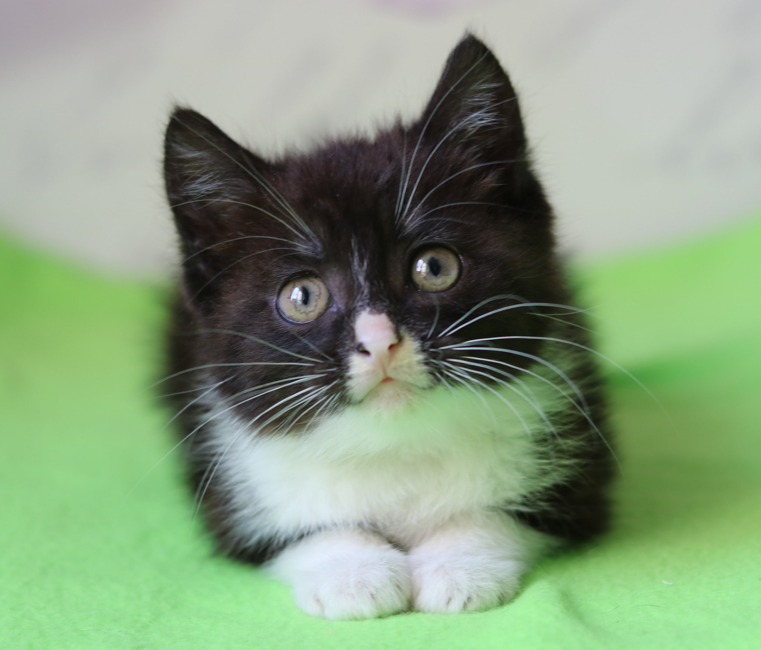 Здравствуйте, вы по мне скучали