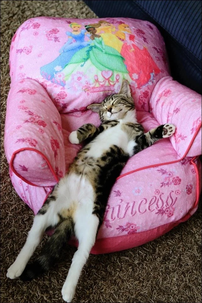 Принцесса - устала