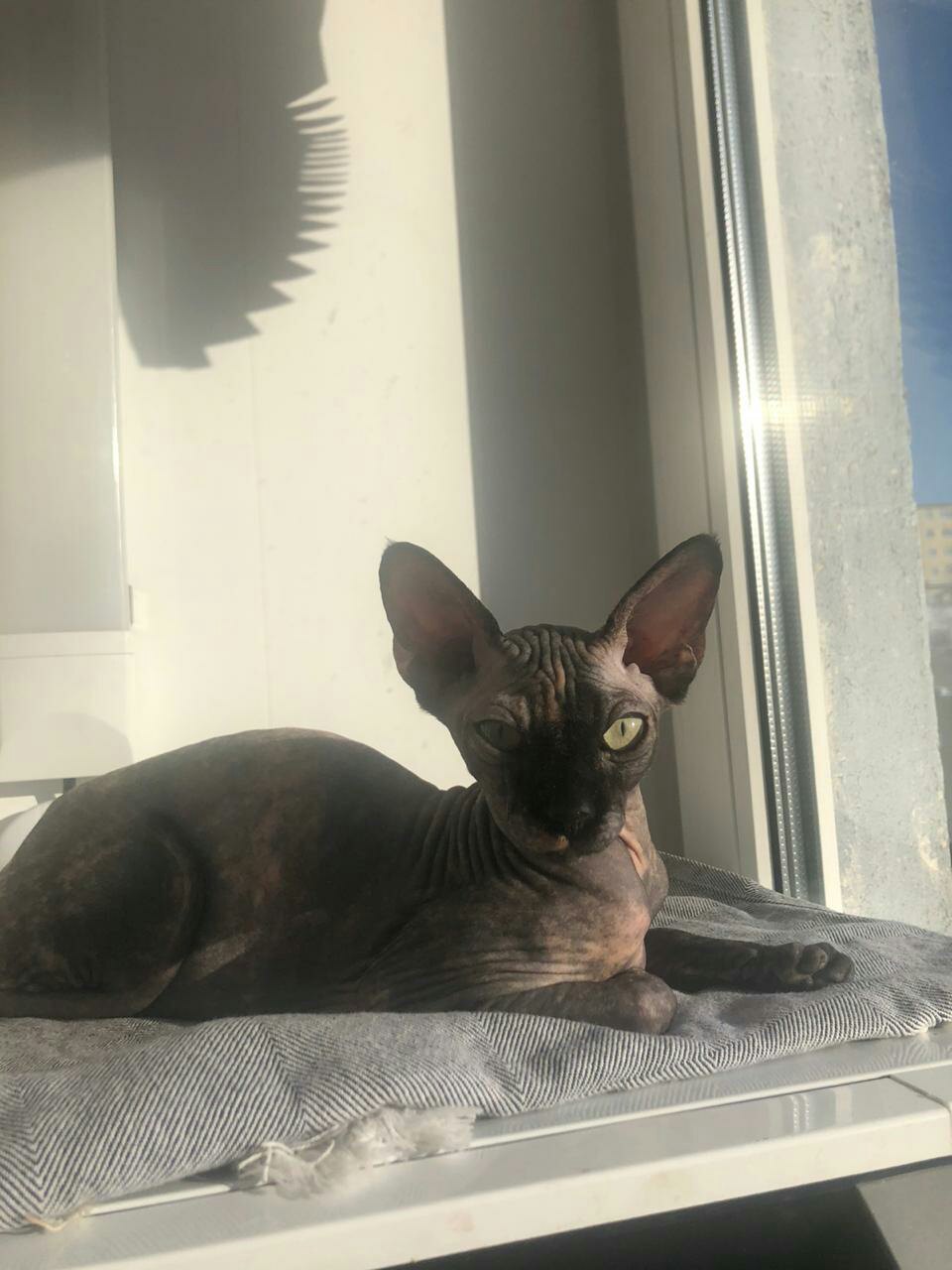 Рассвет встретила, теперь можно и поспать