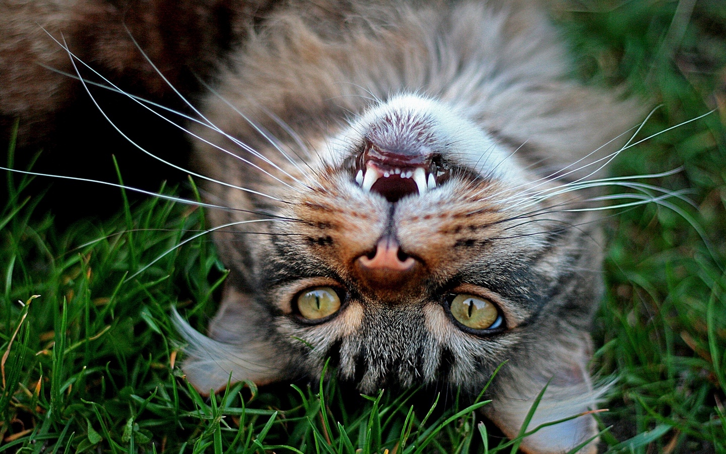 Хорошо, та как