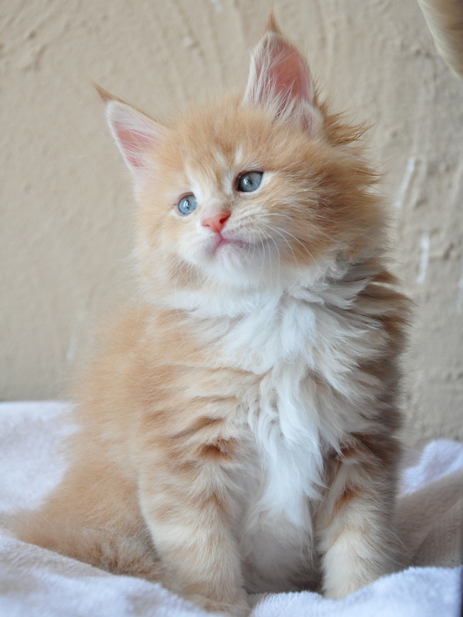 Кто бы, меня рассмешил