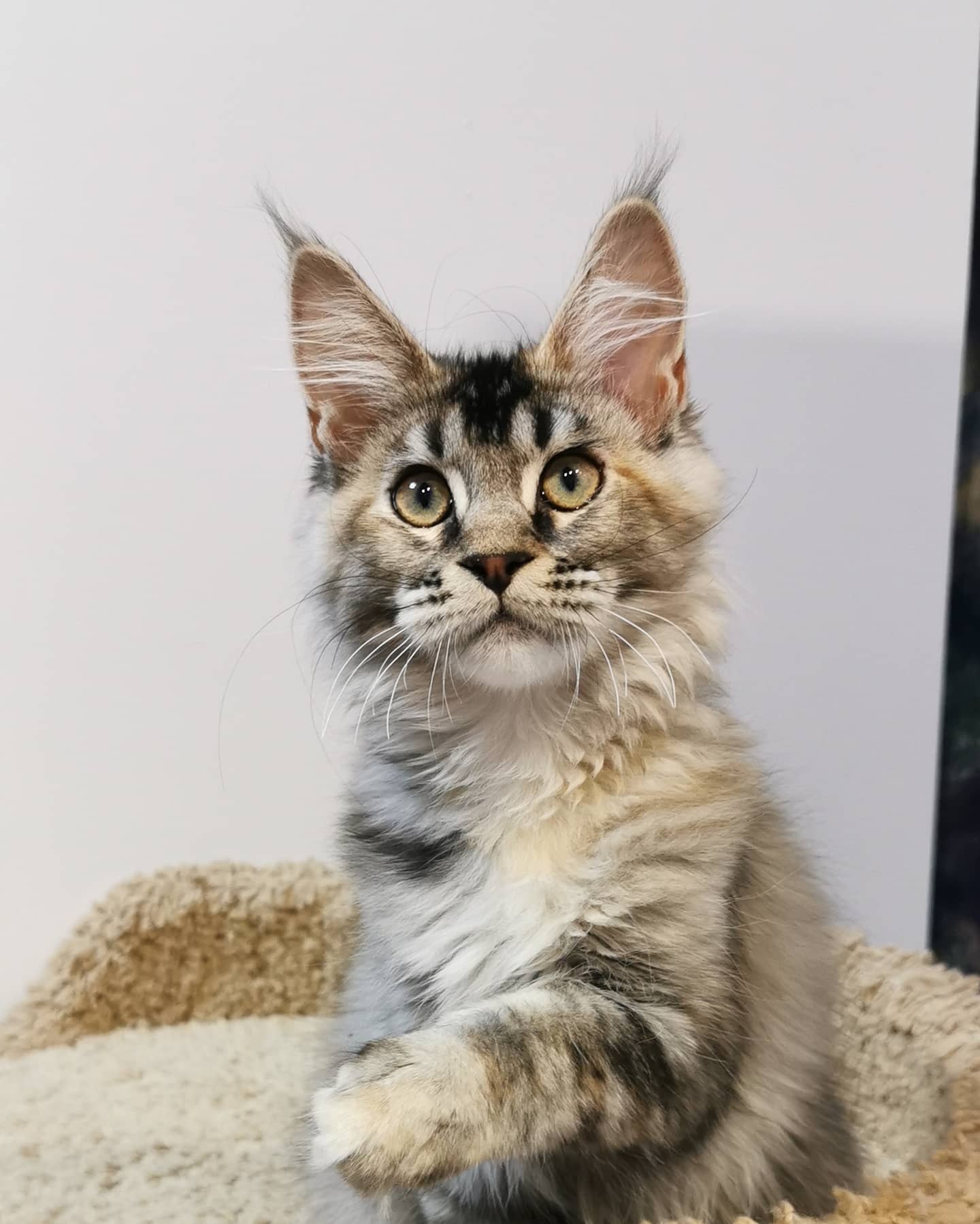 Если что - то потеряли, обращайтесь ко мне