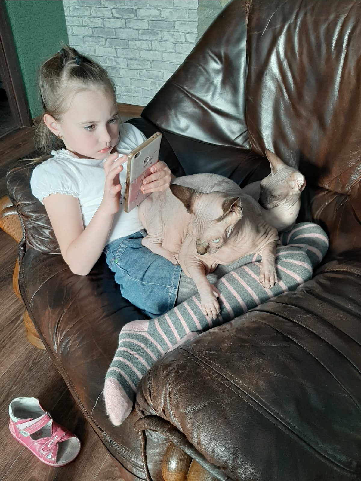 Деликатесы нам закажешь, тогда отпустим